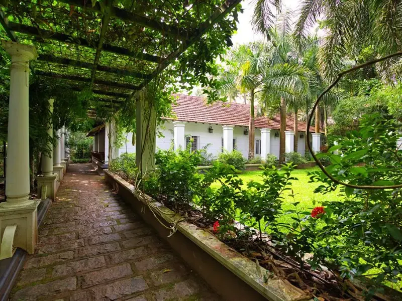 Ayurvedic medicinal garden walk