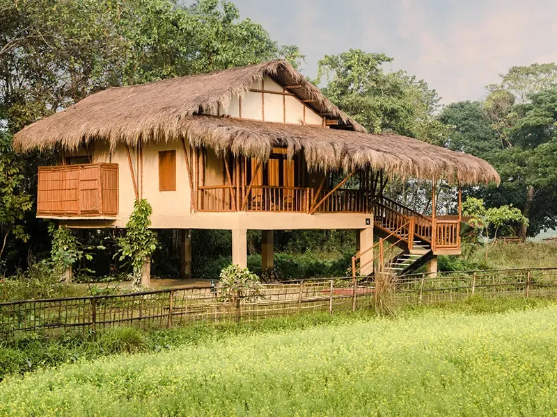 Diphlu River Lodge