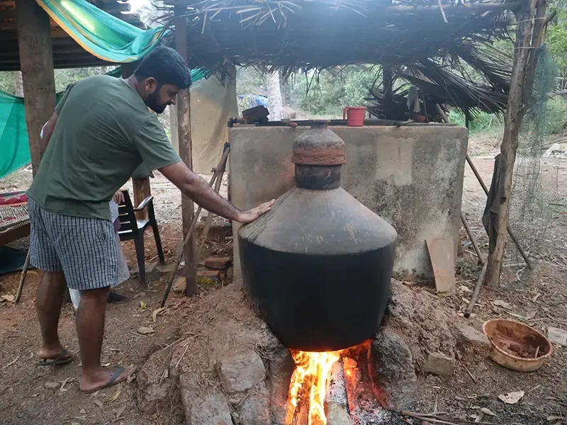 Cashew to feni distillery experience