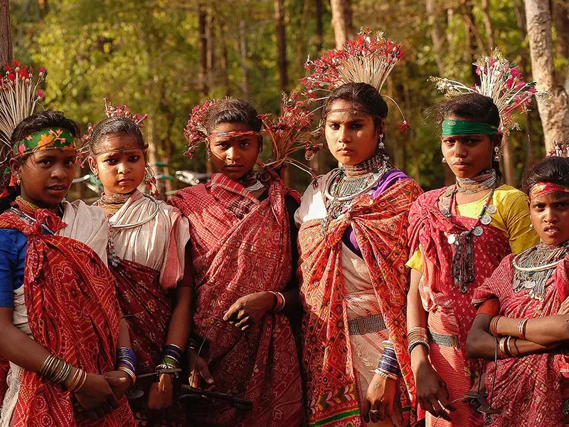 Gond and Baiga cultural experience