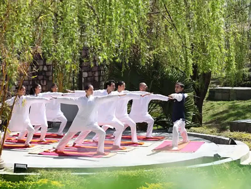 Himalayan forest yoga retreat