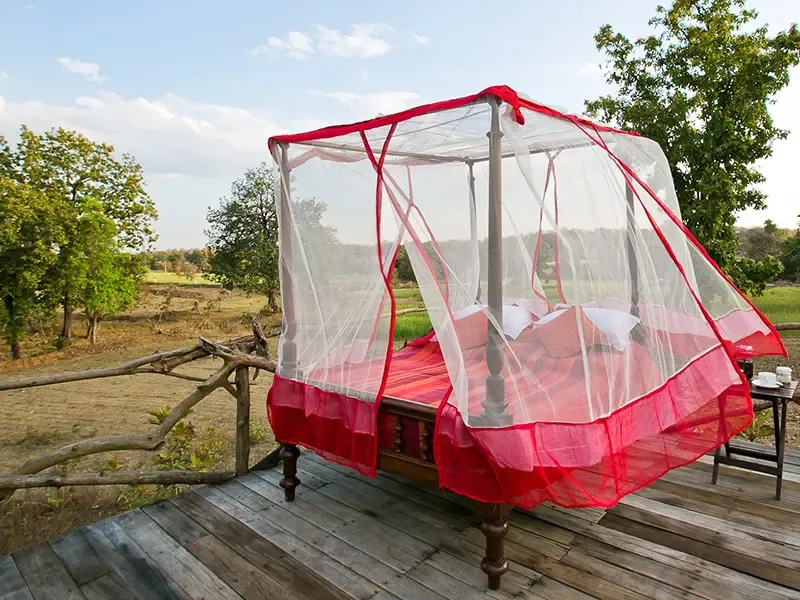 Jamtara Wilderness Camp