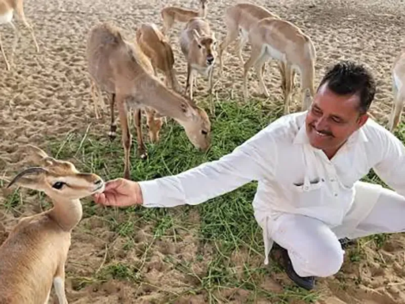 Bishnoi village conservation traditions