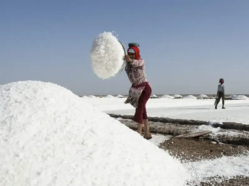 Agariya salt-making community at sunrise