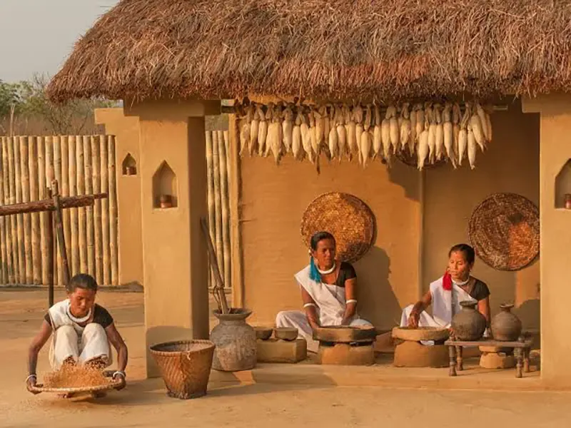 Community-led Tharu village experience