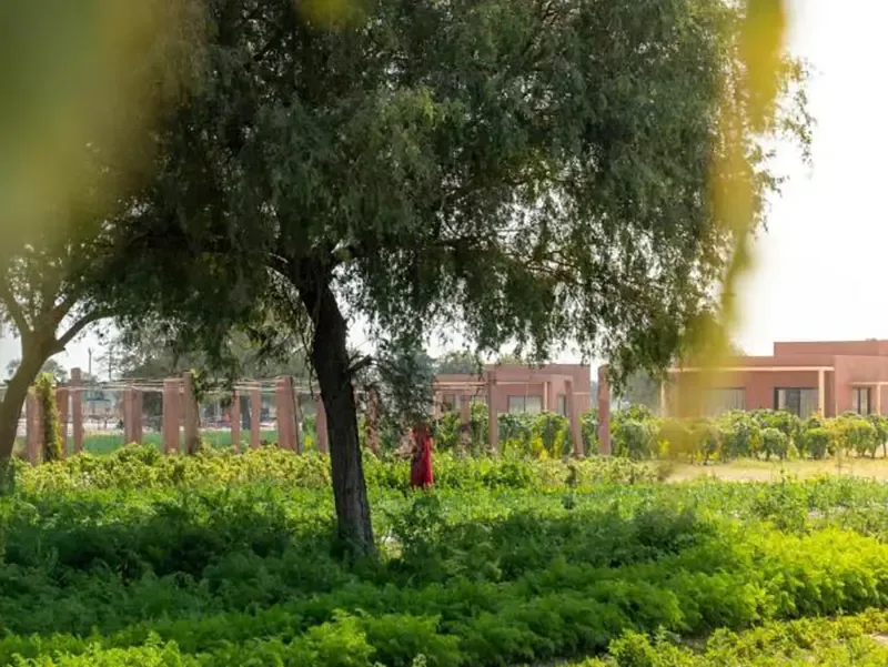 Mharo Khet