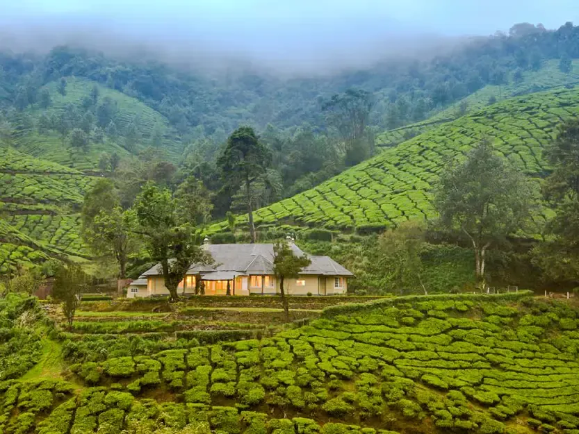 Private Bunglows in Plantations