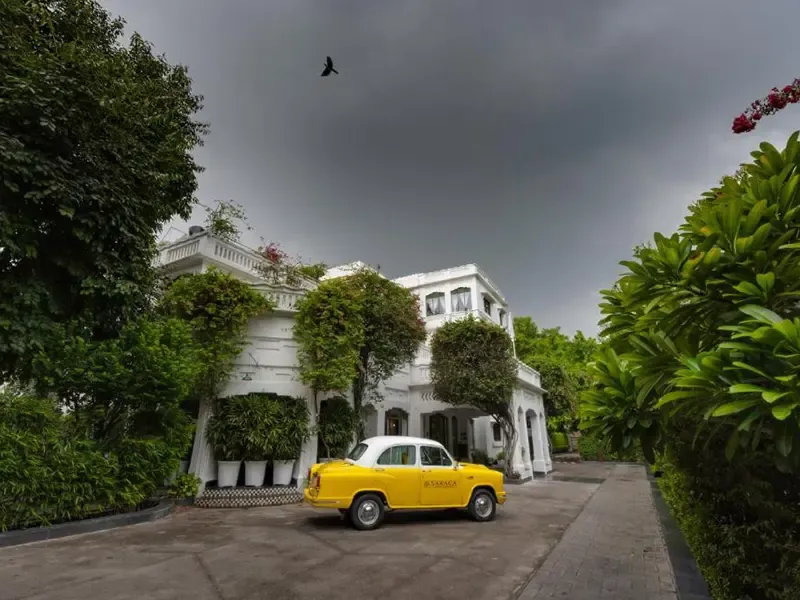 Saraca Lucknow