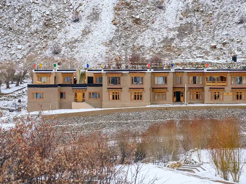 Snow Leopard Lodge