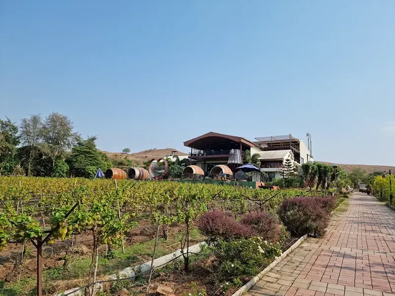Soma Vine Village