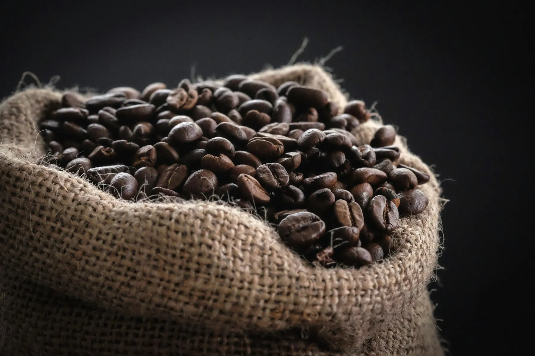 The Western Ghats around Chikmagalur, India's coffee heartland