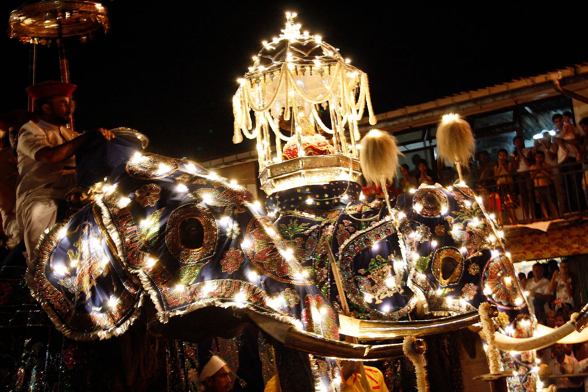 A decorated tusker in the torch-lit night procession of the Kandy Esala Perahera