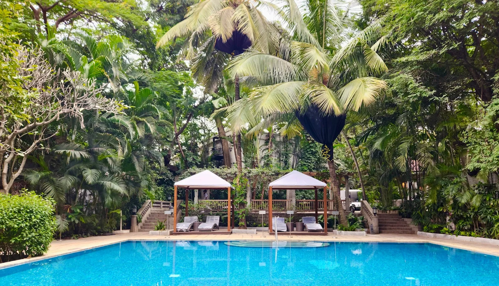 Tropical poolside gardens at the Taj West End, Bangalore