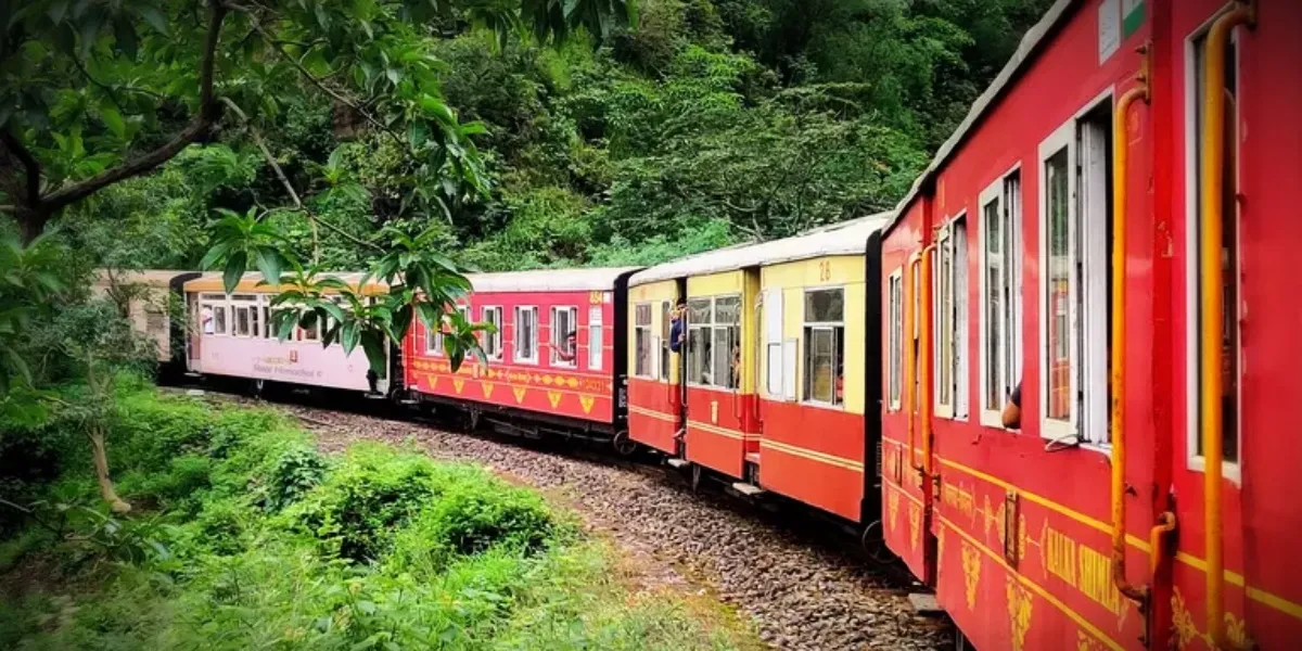 A maroon train at the heritage Summer Hill station on the Kalka-Shimla Railway, among pines