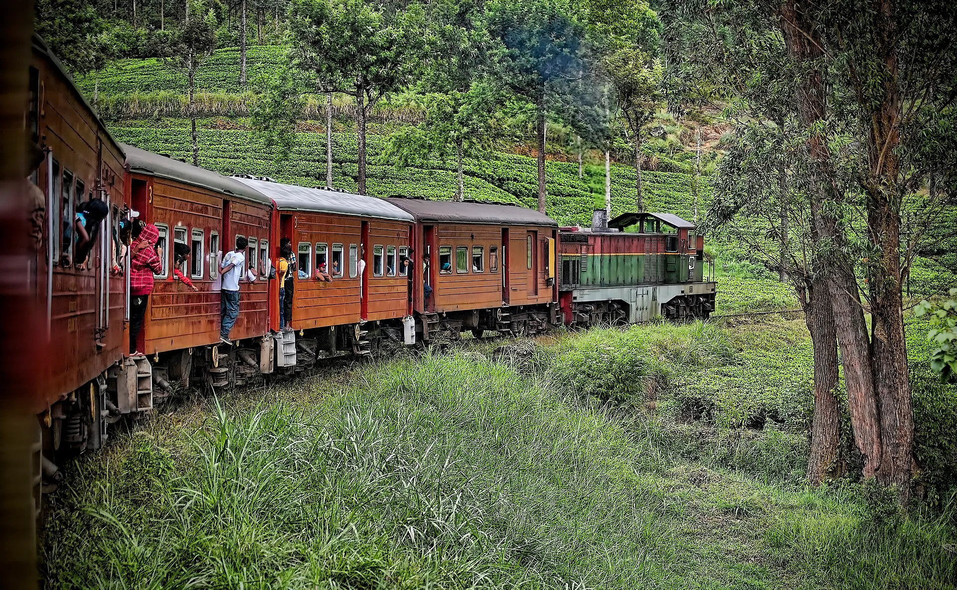 A red Sri Lankan hill-country train winding through terraced tea estates between Kandy and Ella