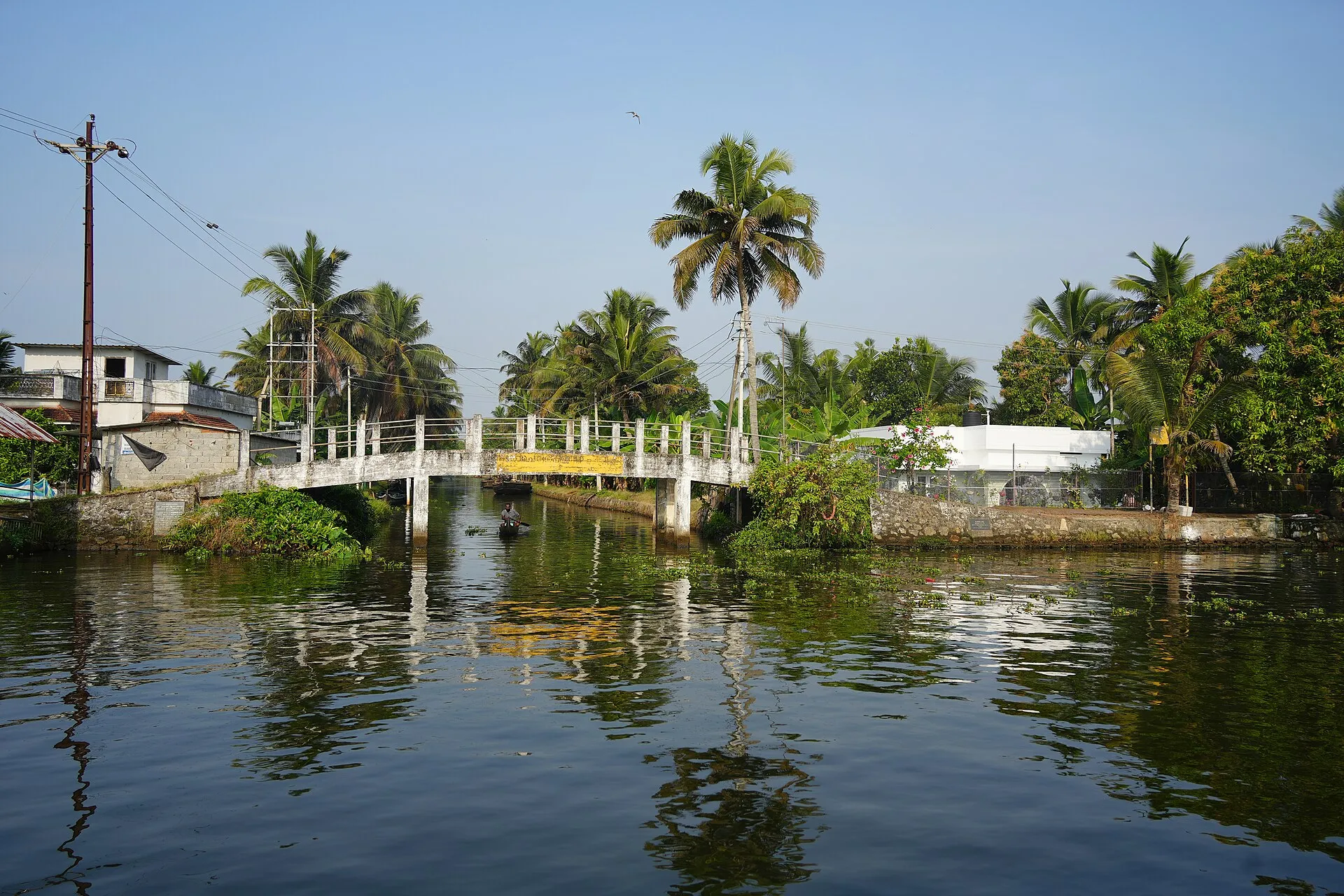 Palm-fringed channels of the Kerala backwaters near Nedumudy