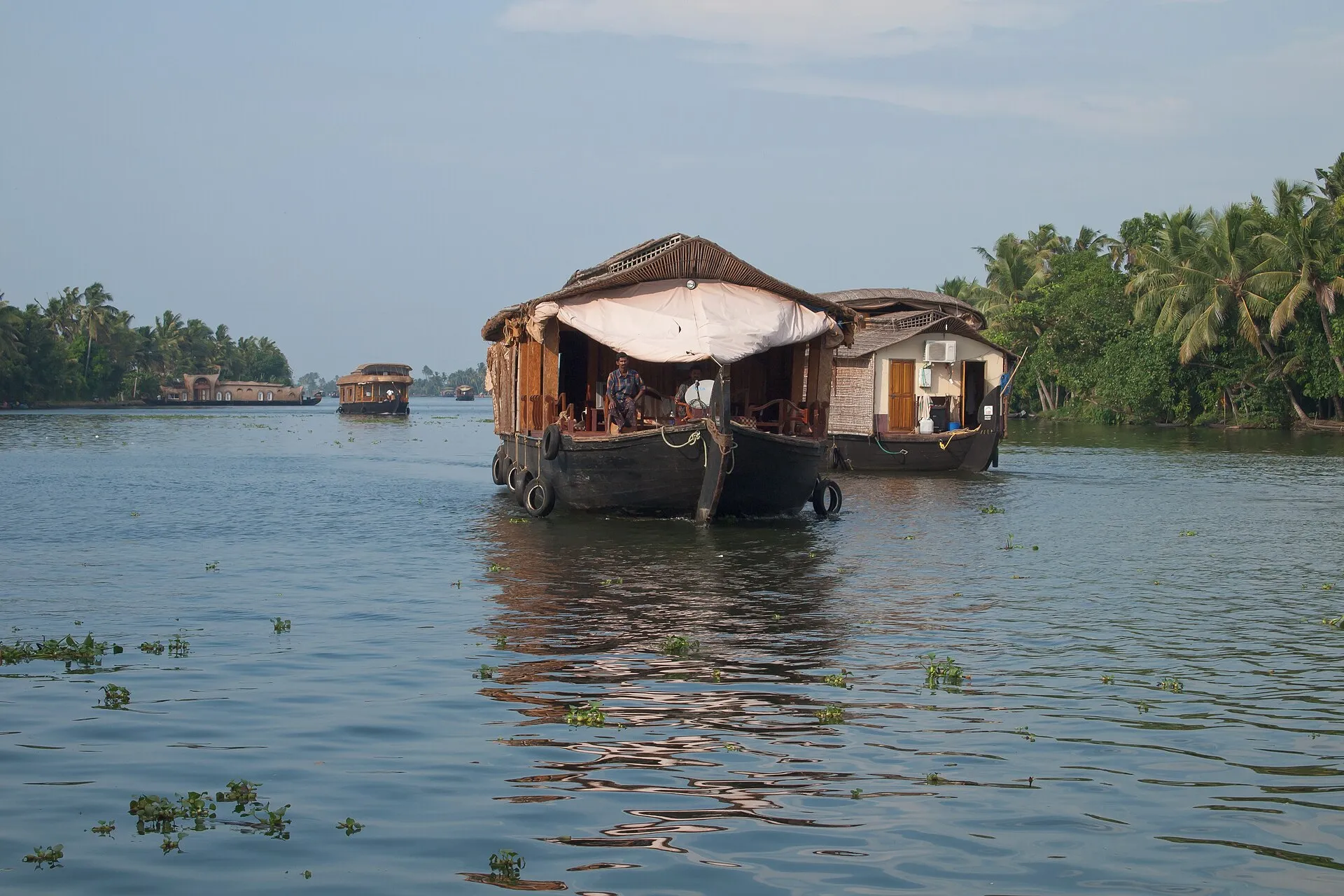 Traditional houseboats moored on the Kerala backwaters