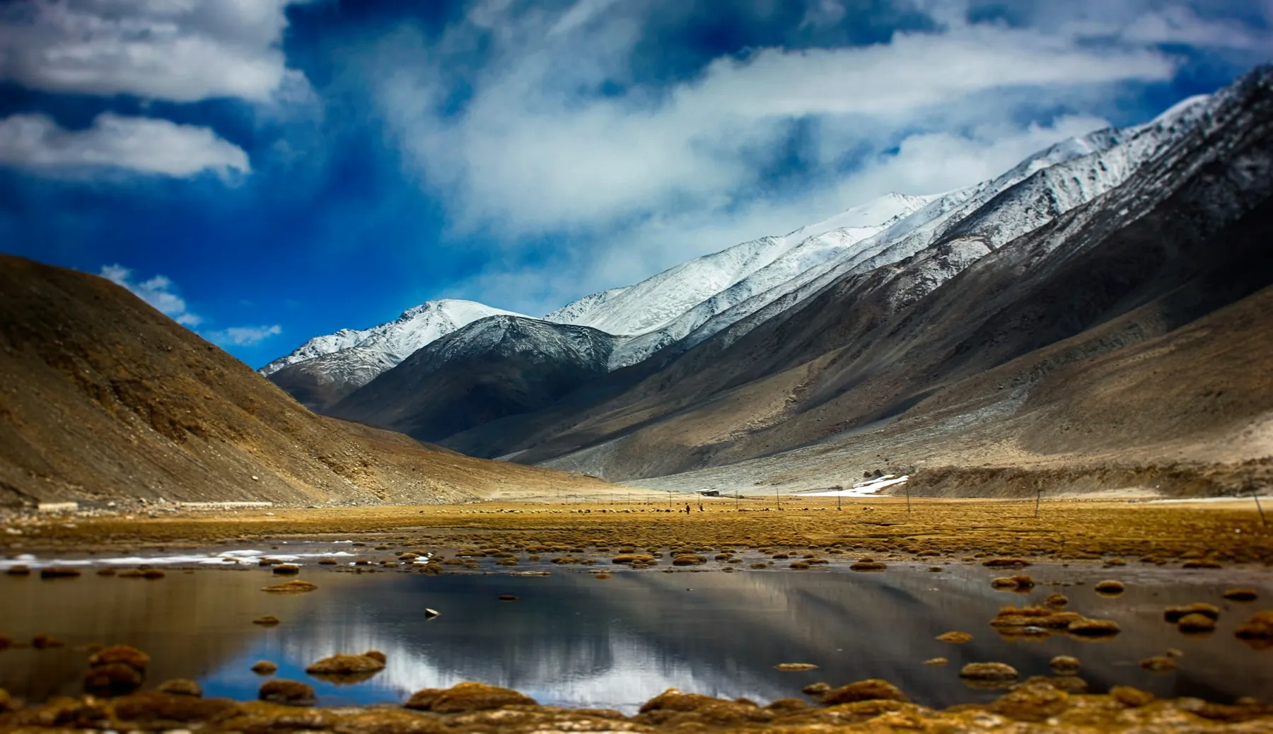 The high Himalayan terrain of Ladakh — the heartland of the snow leopard