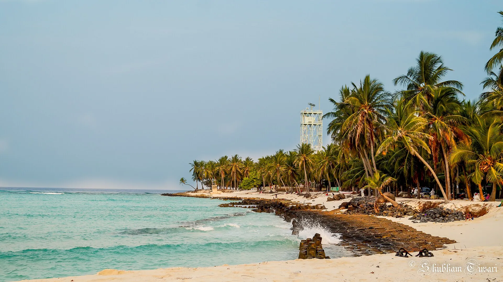 A shallow turquoise lagoon and palm-lined shore at Agatti Island, Lakshadweep