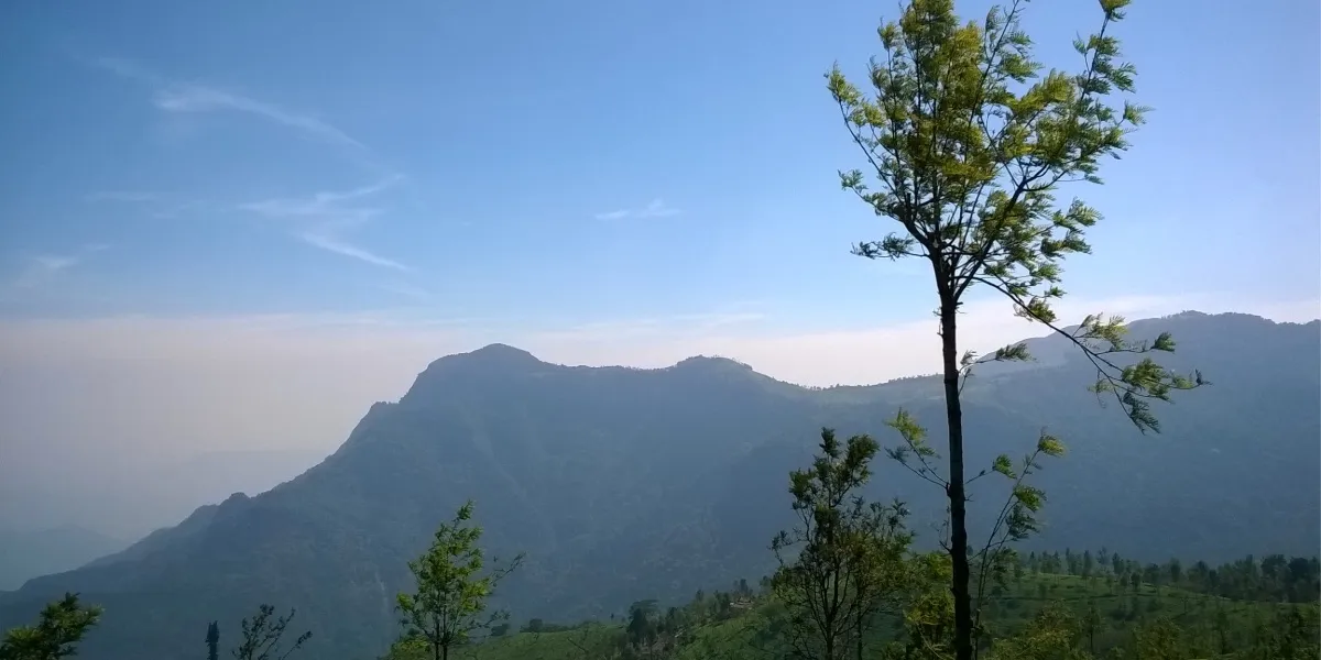 The Nilgiri Hills seen across the forests of Bandipur