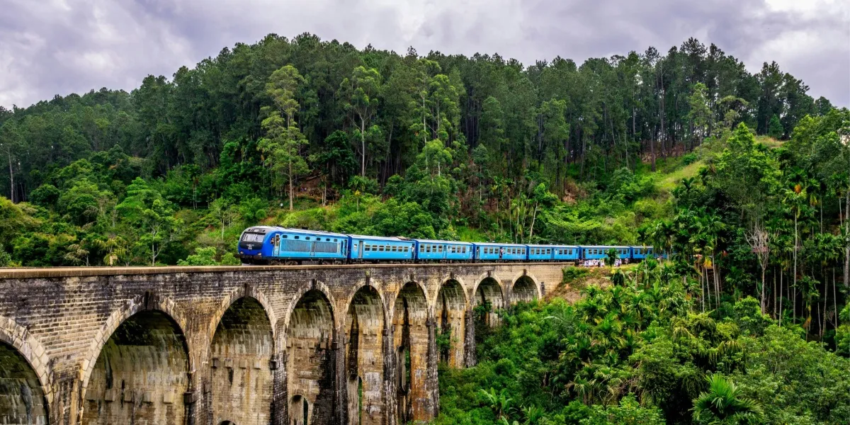 A view across Nuwara Eliya and Sri Lanka's hill-country tea estates