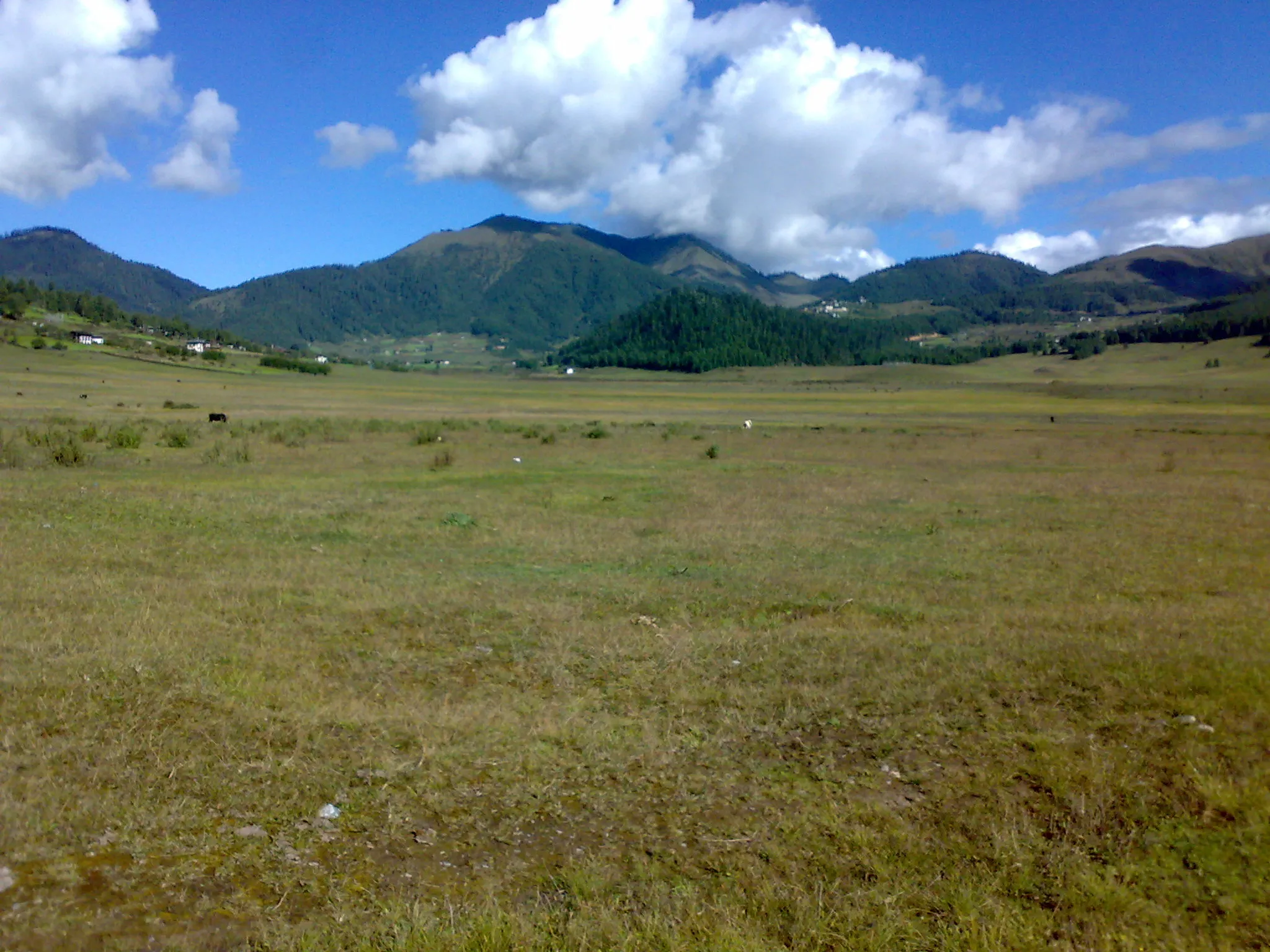 The Phobjikha Valley in Bhutan in autumn — winter home of the black-necked crane