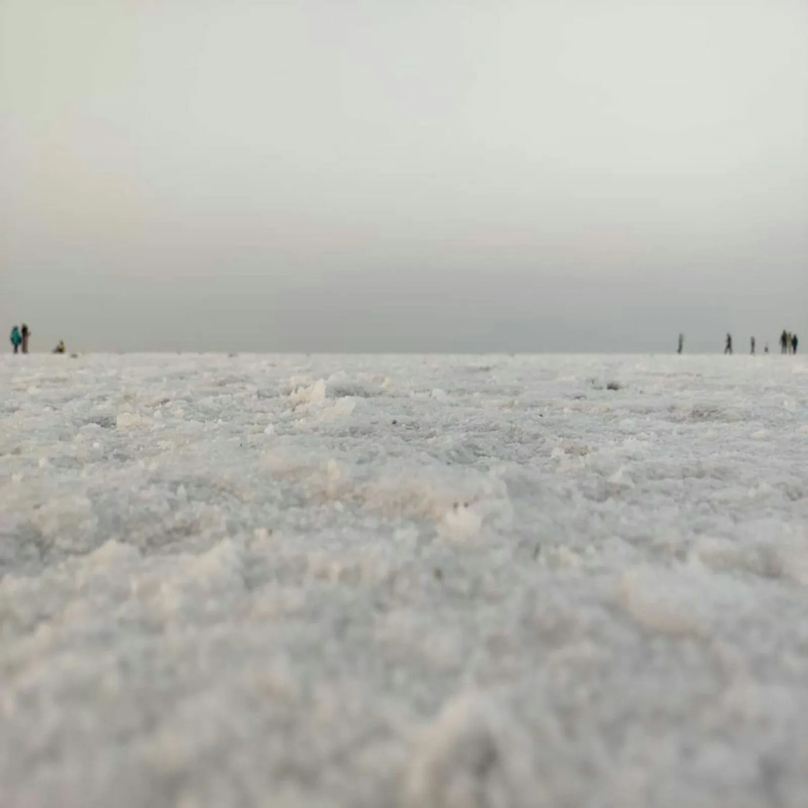 White salt crust of the Rann of Kutch stretching to the horizon