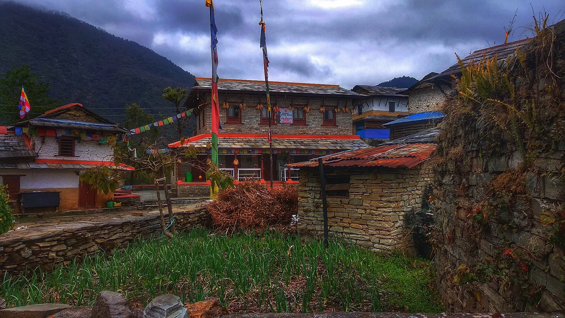 Stone houses and terraced fields of Ghandruk village, Kaski, Nepal