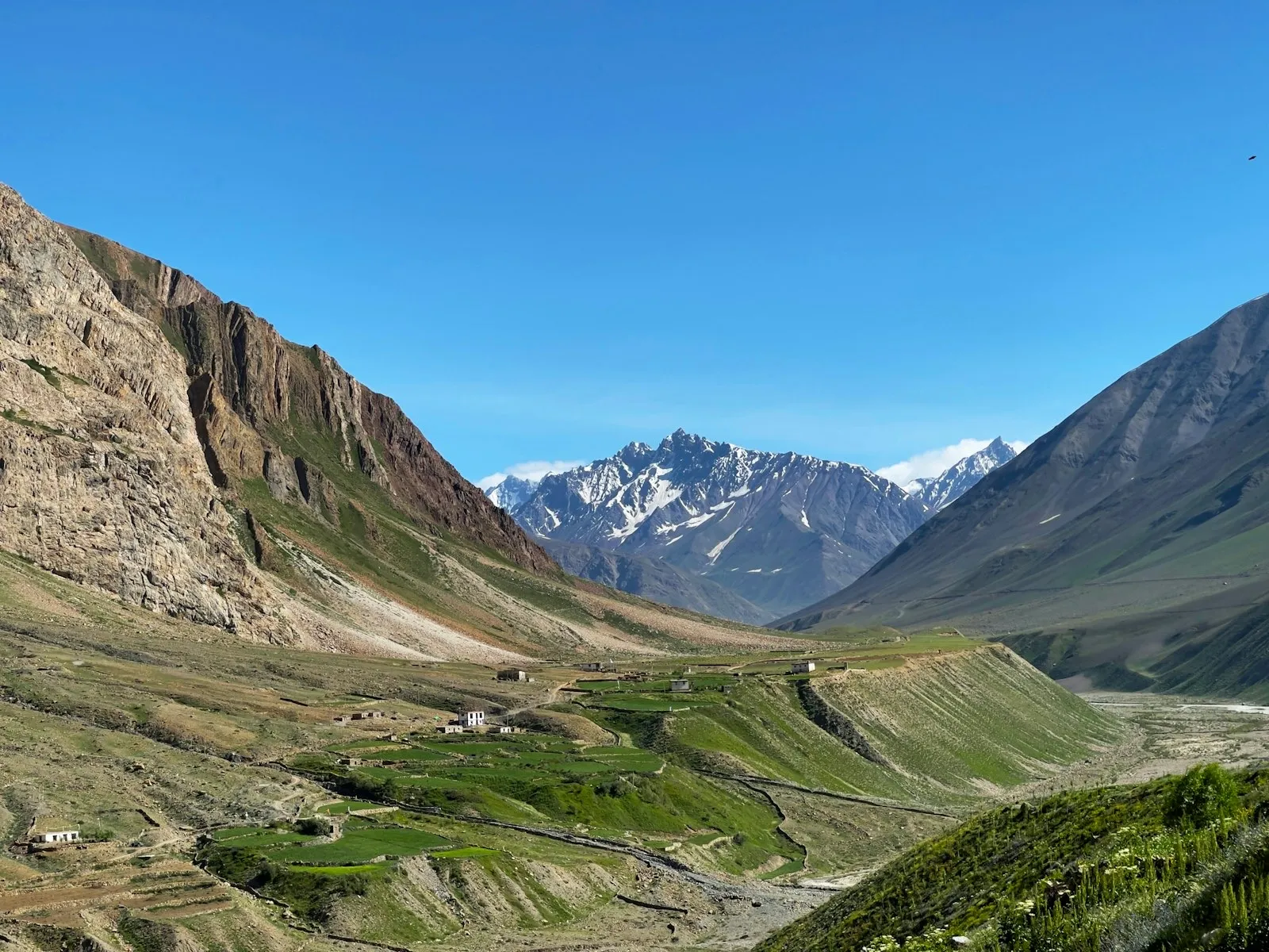 Terraced fields of Pin Valley below snow-capped Spiti peaks