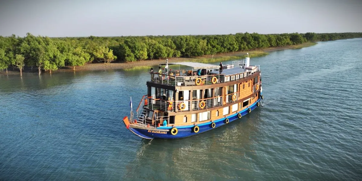 Dense green mangrove forest lining the waterways of the Sundarbans