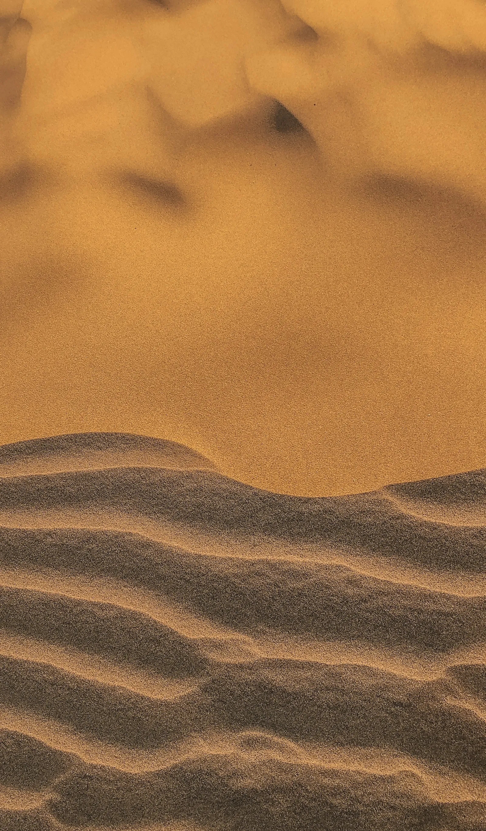 Golden Sam dune ridges in the Thar Desert, Jaisalmer
