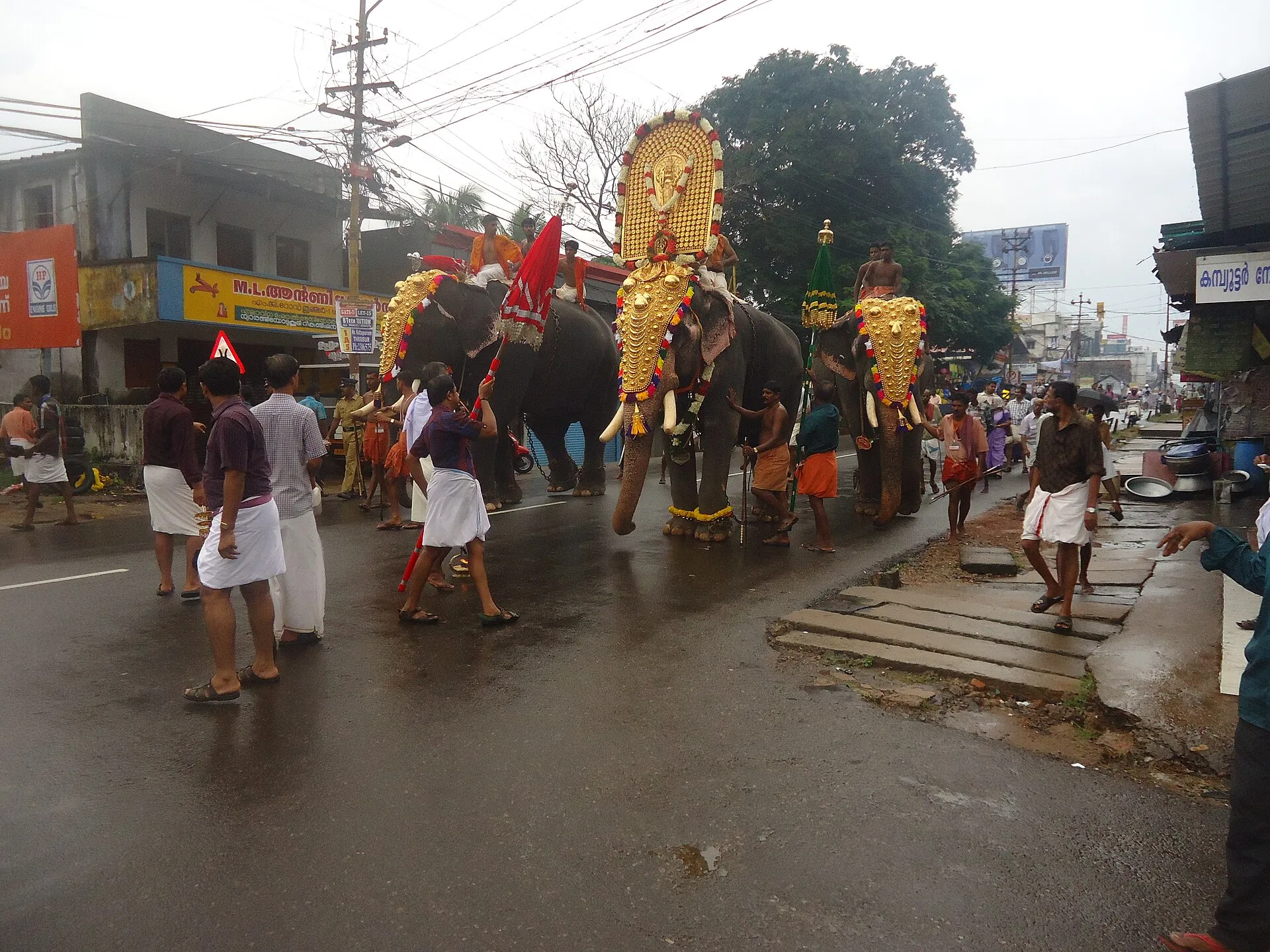 Caparisoned elephants lined up under ceremonial parasols during the Thrissur Pooram