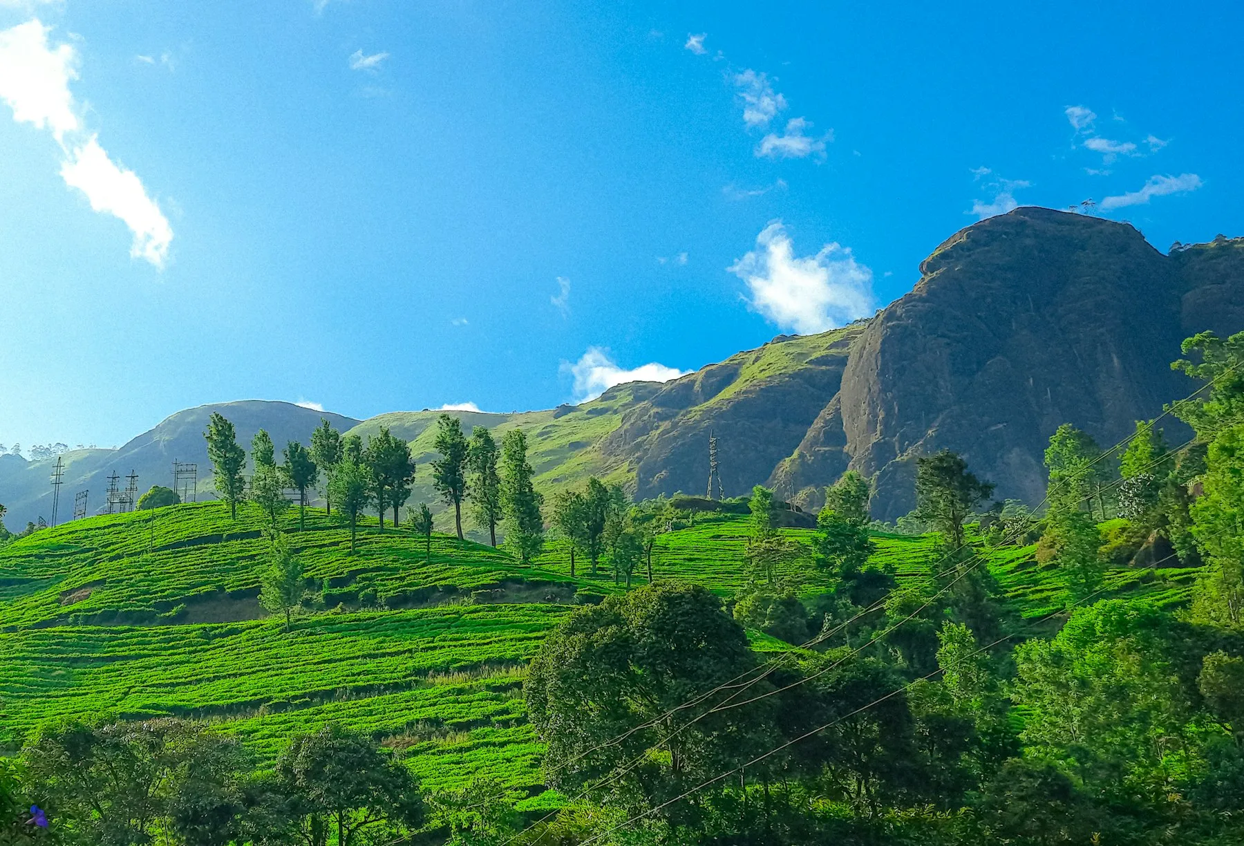 A view across the wooded hills and plantations of Wayanad, Kerala